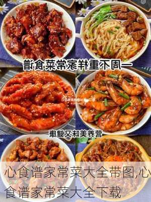 心食谱家常菜大全带图,心食谱家常菜大全下载