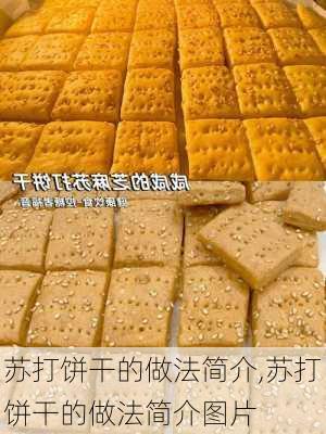 苏打饼干的做法简介,苏打饼干的做法简介图片