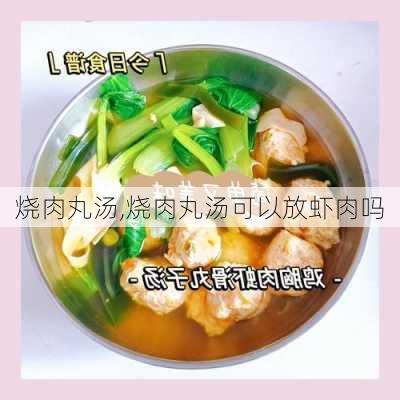 烧肉丸汤,烧肉丸汤可以放虾肉吗