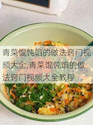 青菜馄饨馅的做法窍门视频大全,青菜馄饨馅的做法窍门视频大全教程-第3张图片-石头美食网