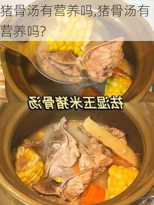 猪骨汤有营养吗,猪骨汤有营养吗?-第1张图片-石头美食网