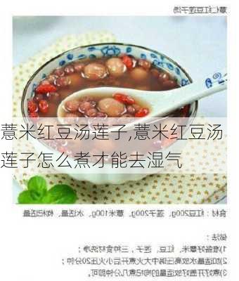 薏米红豆汤莲子,薏米红豆汤莲子怎么煮才能去湿气-第2张图片-石头美食网