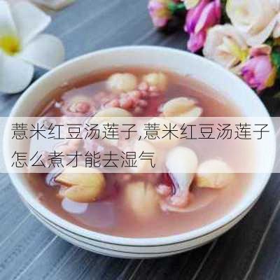 薏米红豆汤莲子,薏米红豆汤莲子怎么煮才能去湿气-第3张图片-石头美食网