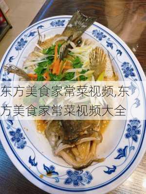 东方美食家常菜视频,东方美食家常菜视频大全