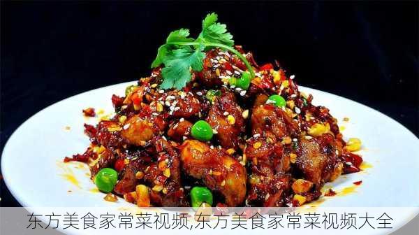 东方美食家常菜视频,东方美食家常菜视频大全-第3张图片-石头美食网