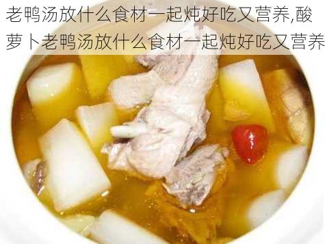 老鸭汤放什么食材一起炖好吃又营养,酸萝卜老鸭汤放什么食材一起炖好吃又营养-第1张图片-石头美食网