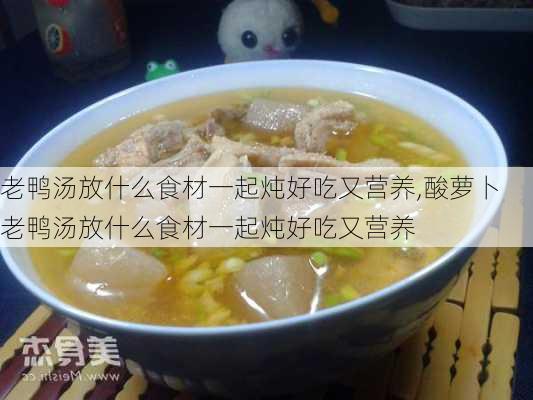 老鸭汤放什么食材一起炖好吃又营养,酸萝卜老鸭汤放什么食材一起炖好吃又营养-第3张图片-石头美食网