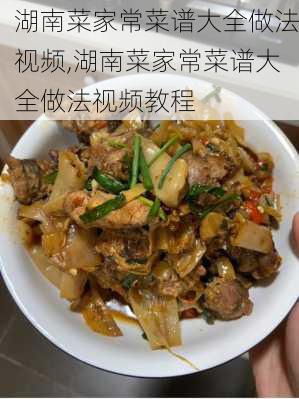 湖南菜家常菜谱大全做法视频,湖南菜家常菜谱大全做法视频教程-第3张图片-石头美食网