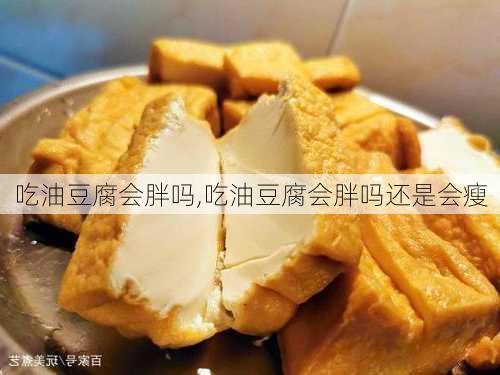 吃油豆腐会胖吗,吃油豆腐会胖吗还是会瘦