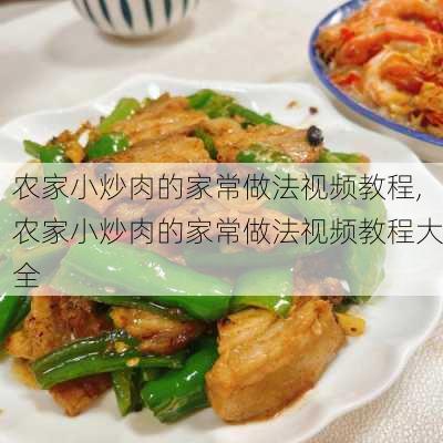 农家小炒肉的家常做法视频教程,农家小炒肉的家常做法视频教程大全