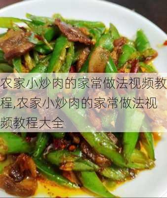 农家小炒肉的家常做法视频教程,农家小炒肉的家常做法视频教程大全-第2张图片-石头美食网