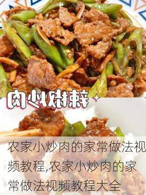 农家小炒肉的家常做法视频教程,农家小炒肉的家常做法视频教程大全-第3张图片-石头美食网