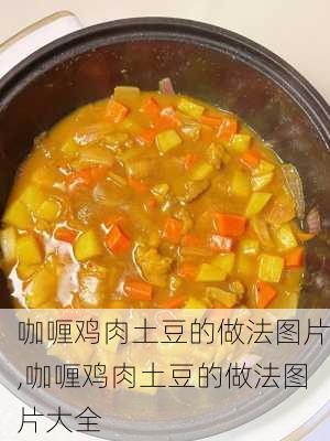 咖喱鸡肉土豆的做法图片,咖喱鸡肉土豆的做法图片大全-第1张图片-石头美食网