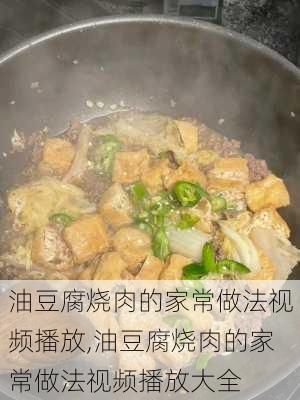 油豆腐烧肉的家常做法视频播放,油豆腐烧肉的家常做法视频播放大全-第3张图片-石头美食网