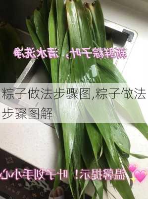 粽子做法步骤图,粽子做法步骤图解-第3张图片-石头美食网