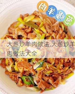 大葱炒羊肉做法,大葱炒羊肉做法大全