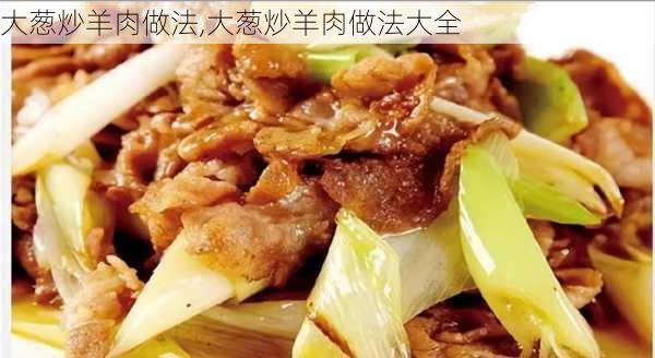 大葱炒羊肉做法,大葱炒羊肉做法大全-第2张图片-石头美食网