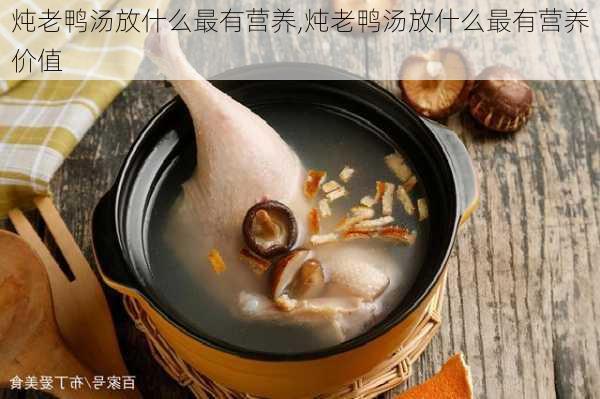 炖老鸭汤放什么最有营养,炖老鸭汤放什么最有营养价值