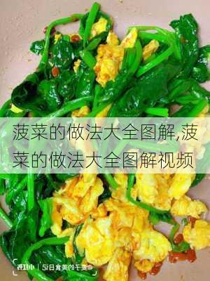 菠菜的做法大全图解,菠菜的做法大全图解视频