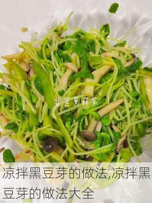 凉拌黑豆芽的做法,凉拌黑豆芽的做法大全-第1张图片-石头美食网