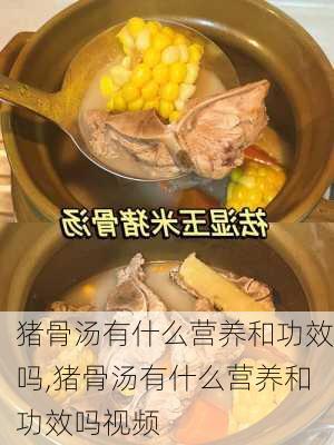 猪骨汤有什么营养和功效吗,猪骨汤有什么营养和功效吗视频-第2张图片-石头美食网