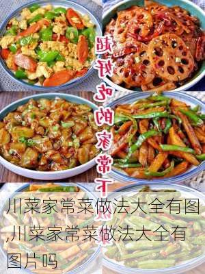 川菜家常菜做法大全有图,川菜家常菜做法大全有图片吗-第3张图片-石头美食网