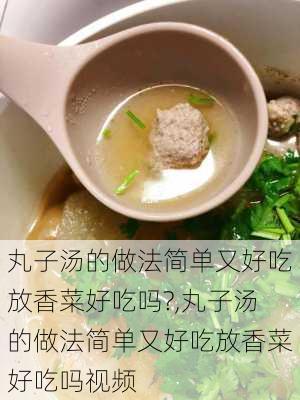 丸子汤的做法简单又好吃放香菜好吃吗?,丸子汤的做法简单又好吃放香菜好吃吗视频-第2张图片-石头美食网