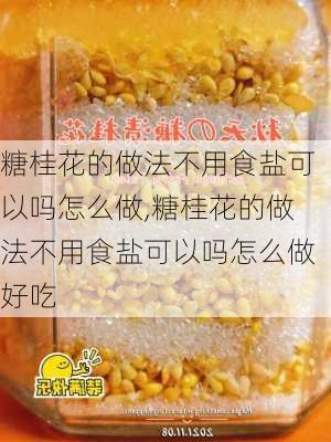 糖桂花的做法不用食盐可以吗怎么做,糖桂花的做法不用食盐可以吗怎么做好吃-第2张图片-石头美食网