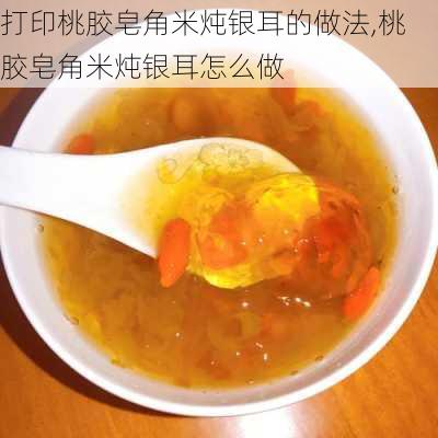 打印桃胶皂角米炖银耳的做法,桃胶皂角米炖银耳怎么做-第2张图片-石头美食网