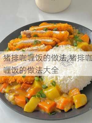 猪排咖喱饭的做法,猪排咖喱饭的做法大全