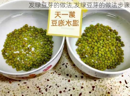 发绿豆芽的做法,发绿豆芽的做法步骤-第1张图片-石头美食网