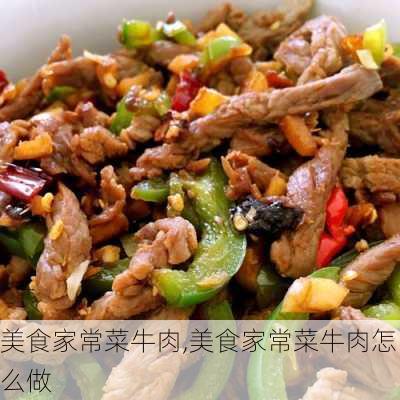 美食家常菜牛肉,美食家常菜牛肉怎么做