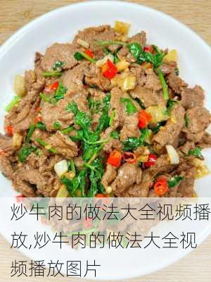 炒牛肉的做法大全视频播放,炒牛肉的做法大全视频播放图片-第1张图片-石头美食网