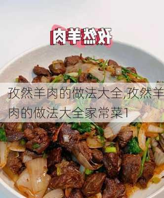 孜然羊肉的做法大全,孜然羊肉的做法大全家常菜1