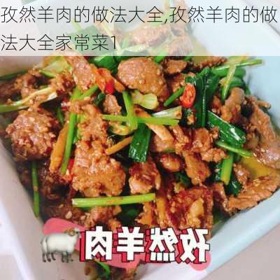 孜然羊肉的做法大全,孜然羊肉的做法大全家常菜1-第2张图片-石头美食网