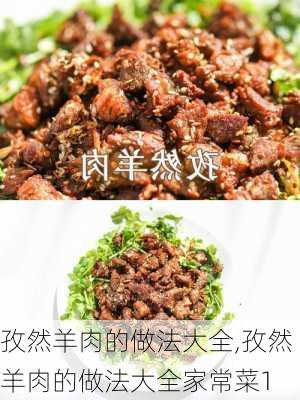 孜然羊肉的做法大全,孜然羊肉的做法大全家常菜1-第3张图片-石头美食网