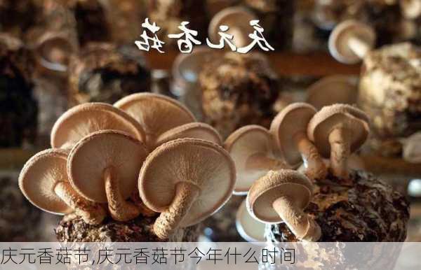 庆元香菇节,庆元香菇节今年什么时间-第1张图片-石头美食网