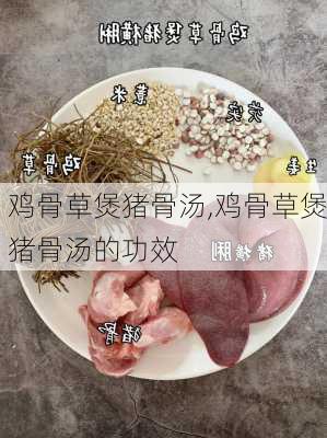 鸡骨草煲猪骨汤,鸡骨草煲猪骨汤的功效