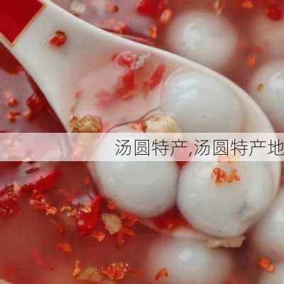 汤圆特产,汤圆特产地-第1张图片-石头美食网