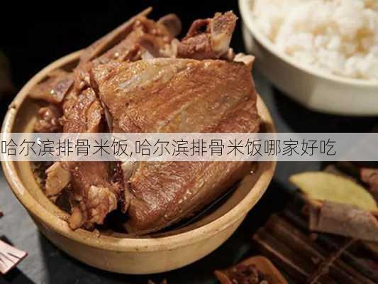 哈尔滨排骨米饭,哈尔滨排骨米饭哪家好吃-第1张图片-石头美食网