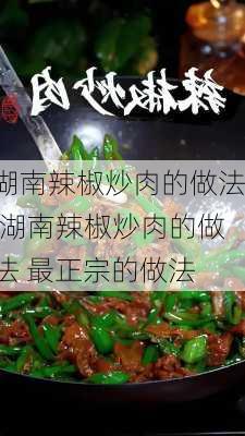 湖南辣椒炒肉的做法,湖南辣椒炒肉的做法 最正宗的做法-第1张图片-石头美食网