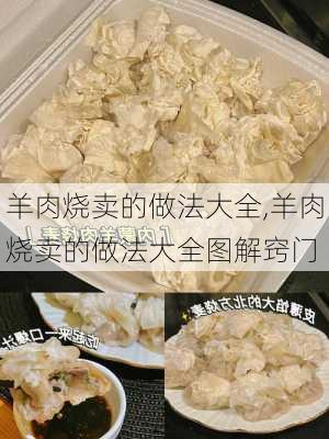 羊肉烧卖的做法大全,羊肉烧卖的做法大全图解窍门-第3张图片-石头美食网