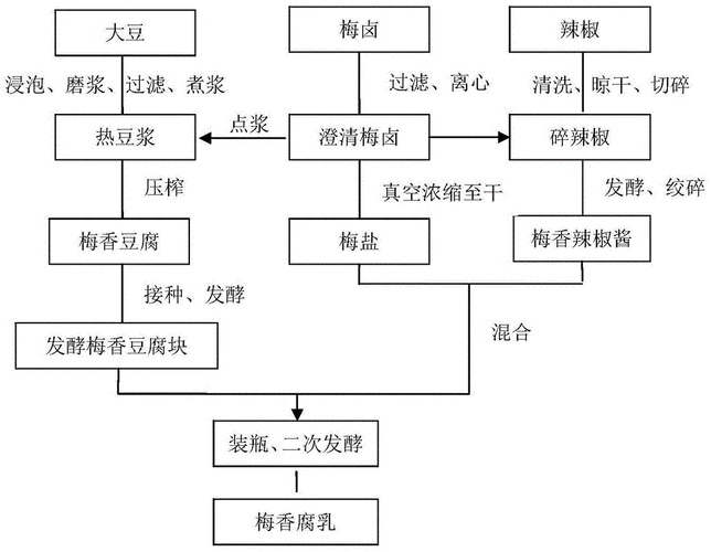 豆腐乳的制作方法步骤,豆腐乳的制作方法步骤视频-第3张图片-石头美食网