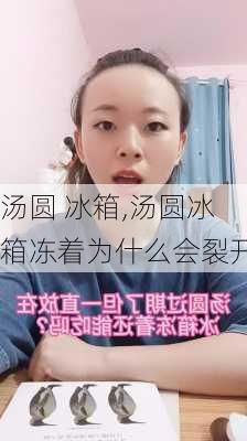 汤圆 冰箱,汤圆冰箱冻着为什么会裂开-第3张图片-石头美食网