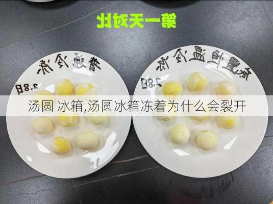 汤圆 冰箱,汤圆冰箱冻着为什么会裂开