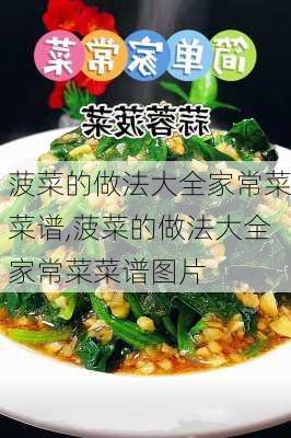 菠菜的做法大全家常菜菜谱,菠菜的做法大全家常菜菜谱图片