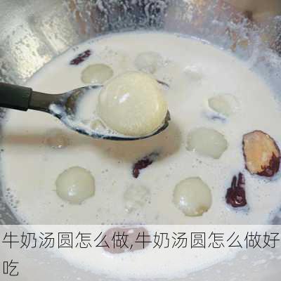 牛奶汤圆怎么做,牛奶汤圆怎么做好吃-第1张图片-石头美食网