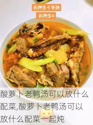 酸萝卜老鸭汤可以放什么配菜,酸萝卜老鸭汤可以放什么配菜一起炖-第1张图片-石头美食网