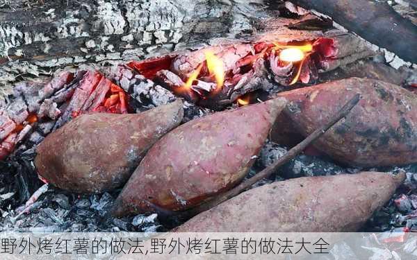 野外烤红薯的做法,野外烤红薯的做法大全-第2张图片-石头美食网