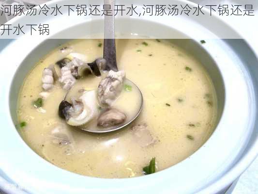 河豚汤冷水下锅还是开水,河豚汤冷水下锅还是开水下锅-第3张图片-石头美食网